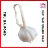 Tỏi Lý Sơn - Tỏi thường nhiều tép 1Kg - Ảnh 4